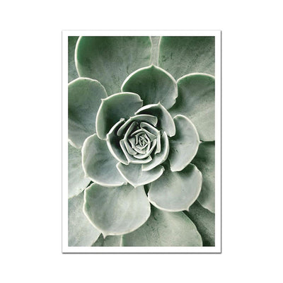 Leaf Poster Photography