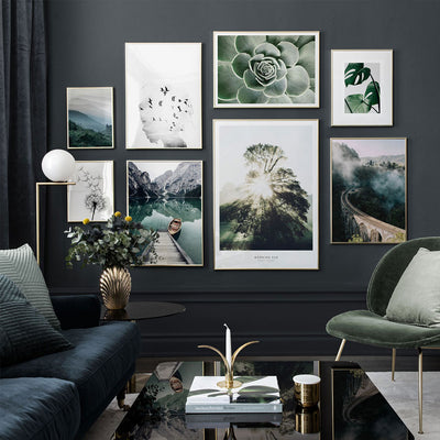 Leaf Poster Photography