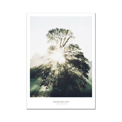Leaf Poster Photography